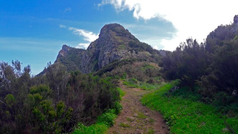 From Funchal: Machico to Porto da Cruz Larano Cliff Hike - Discover the Coastal Beauty from Machico to Porto da Cruz