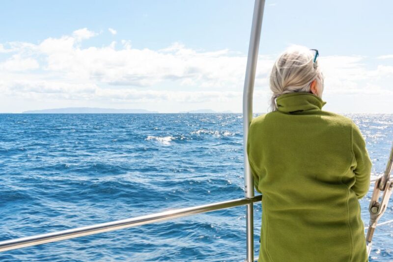 From Funchal: Madeira Dolphin and Whale Watching Tour - Madeira Dolphin and Whale Watching Tour: An Oceanic Adventure from Funchal