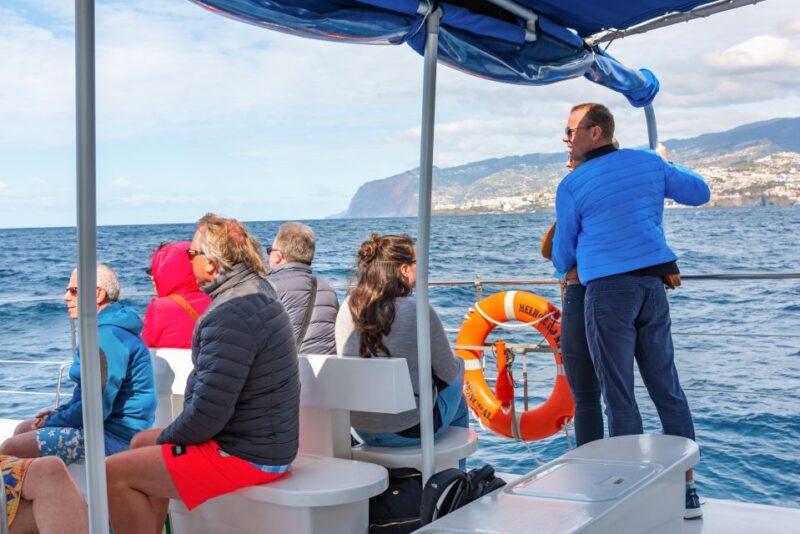 From Funchal: Madeira Dolphin and Whale Watching Tour - Who Will Appreciate This Tour the Most?
