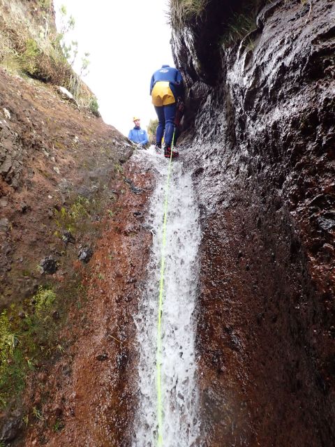 From Funchal: Madeira Island Canyoning for Beginners - Key Points