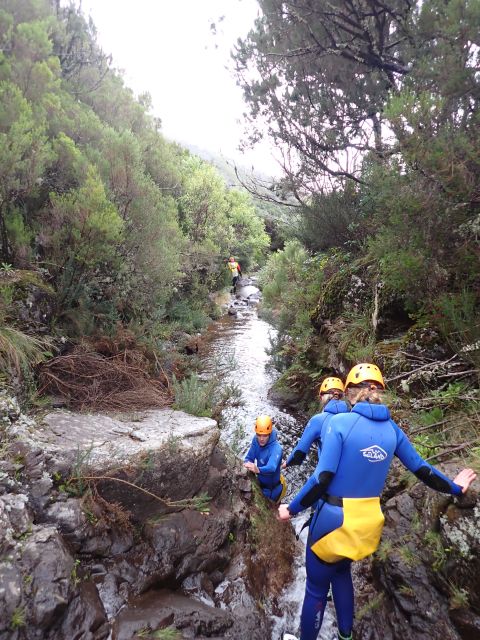 From Funchal: Madeira Island Canyoning for Beginners - The Value of the Madeira Canyoning Experience