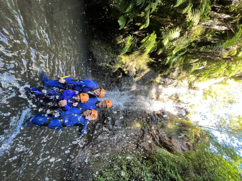 From Funchal: Madeira Island Canyoning for Beginners - Frequently Asked Questions