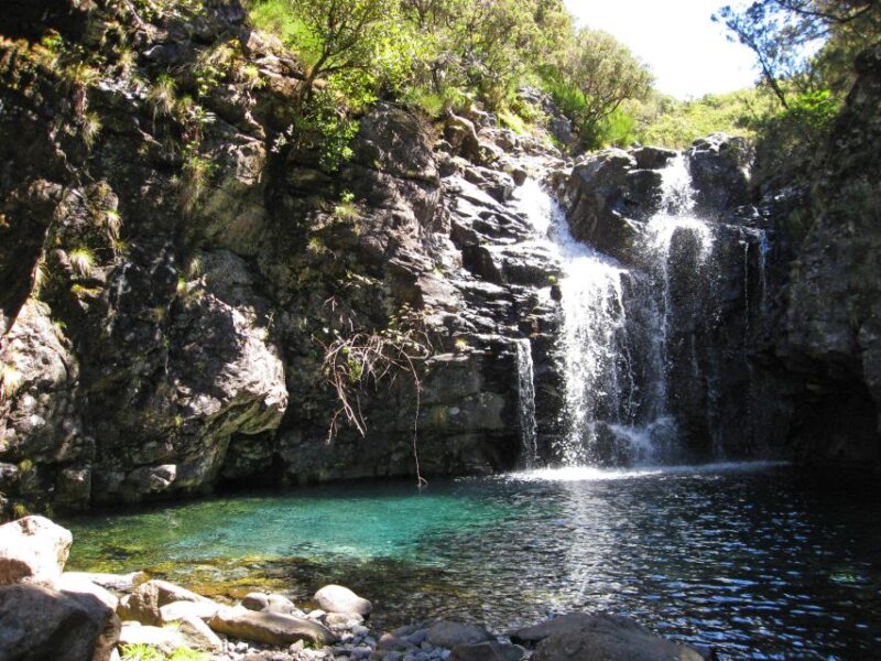 From Funchal: Madeira Lakes Levada Guided Hike - Traversing Madeira’s Western Levada Trails