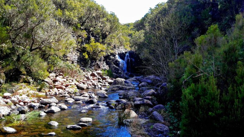 From Funchal: Madeira Lakes Levada Guided Hike - Swimming in Mountain Lagoons During the Summer