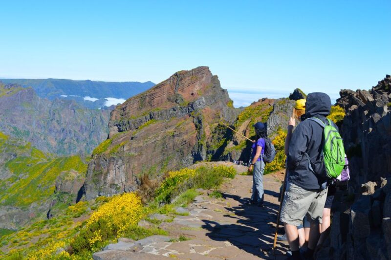 From Funchal: Madeira Peaks Mountain Walk - The Physical Challenge and Hiking Conditions