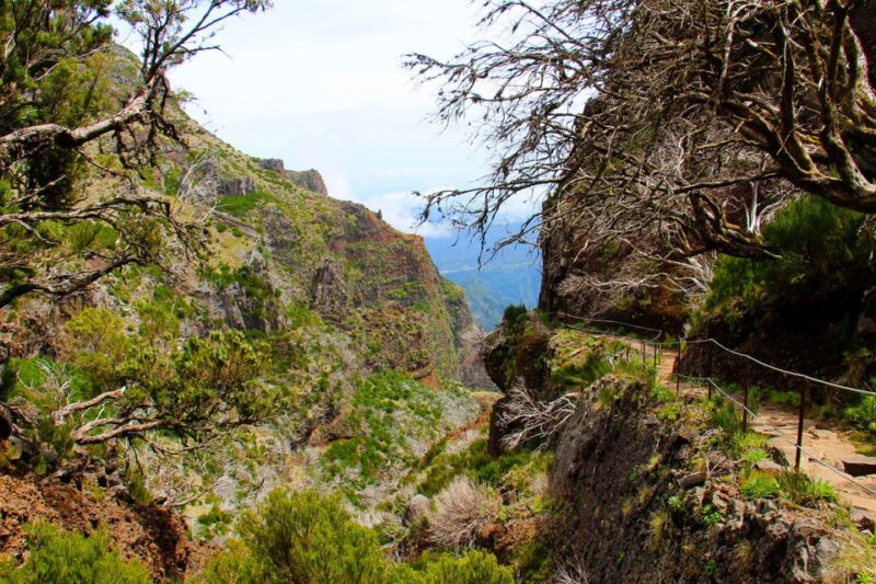 From Funchal: Madeira Peaks Mountain Walk - Madeira Peaks Mountain Walk: A Natural Adventure for Active Travelers
