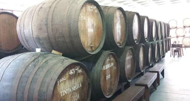 From Funchal: Madeira Wine Tour, Cable Car & Typical Lunch - Vineyard Visits and the Art of Madeira Wine