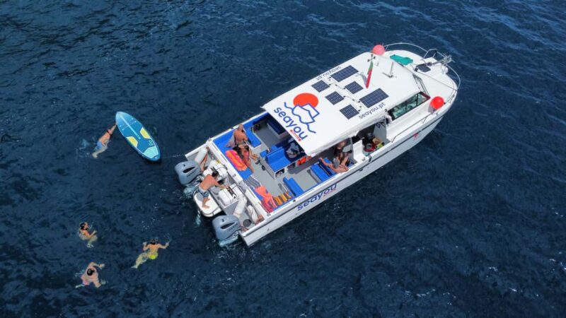 From Funchal: Modern Catamaran Coastal Exploration Boat Tour - Key Points