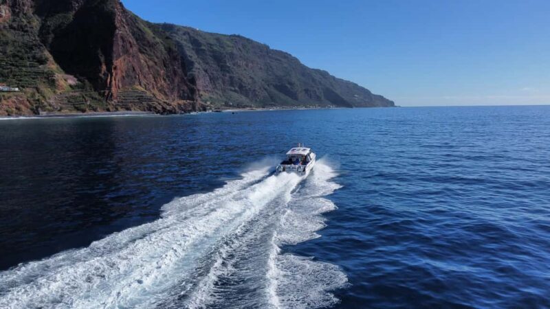 From Funchal: Modern Catamaran Coastal Exploration Boat Tour - The Experience Provider: SeaYou Madeira