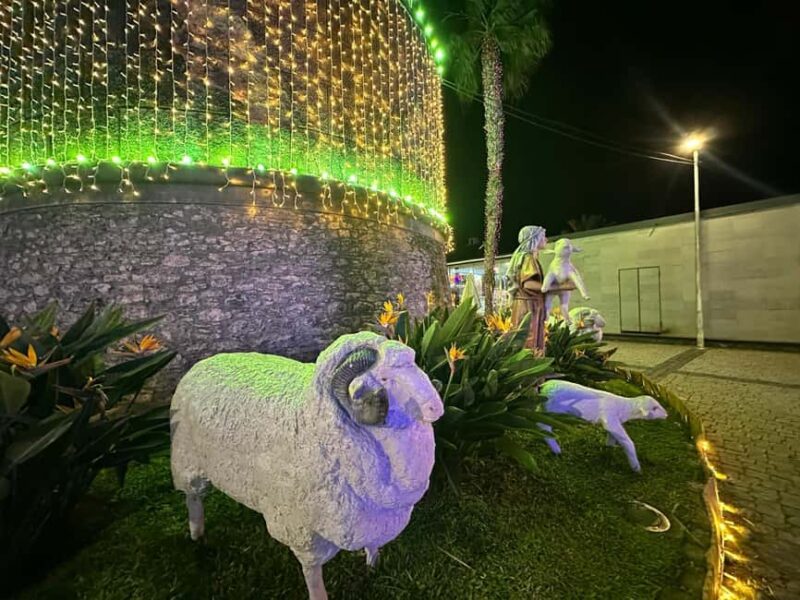From Funchal: Nativity & Christmas Lights - What to Bring and Restrictions