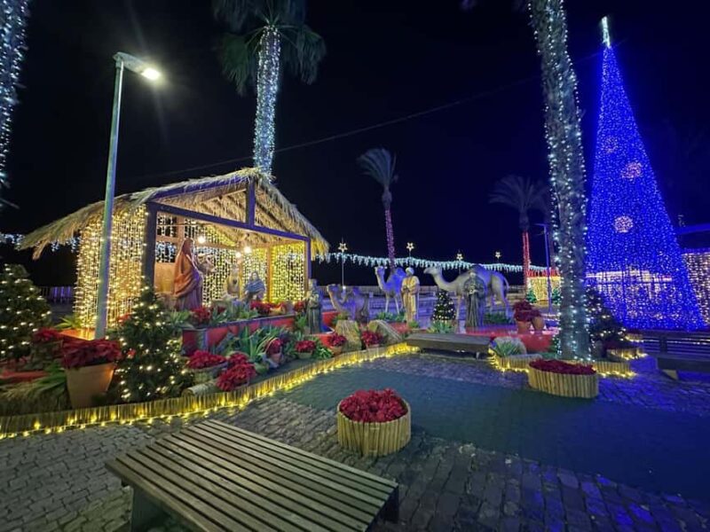From Funchal: Nativity & Christmas Lights - The Experience from the Guides and Reviews