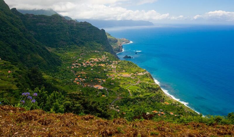 From Funchal: North Coast Day Trip - Practical Details and Tour Logistics