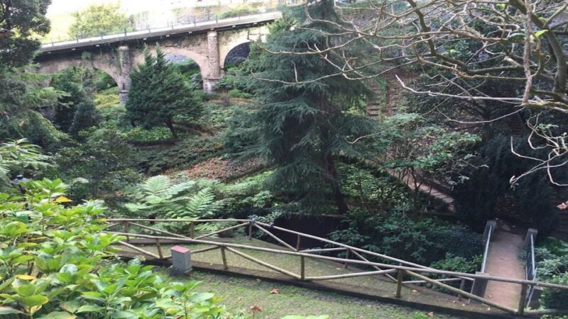 From Funchal: Nuns Valley, Monte and Sleigh Ride Tour - Key Points