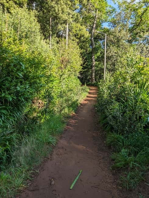 From Funchal: Pico Arieiro Sunrise with Optional Breakfast - Levada Walk in Paradise Valley