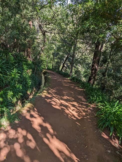 From Funchal: Pico Arieiro Sunrise with Optional Breakfast - Price and Booking Flexibility