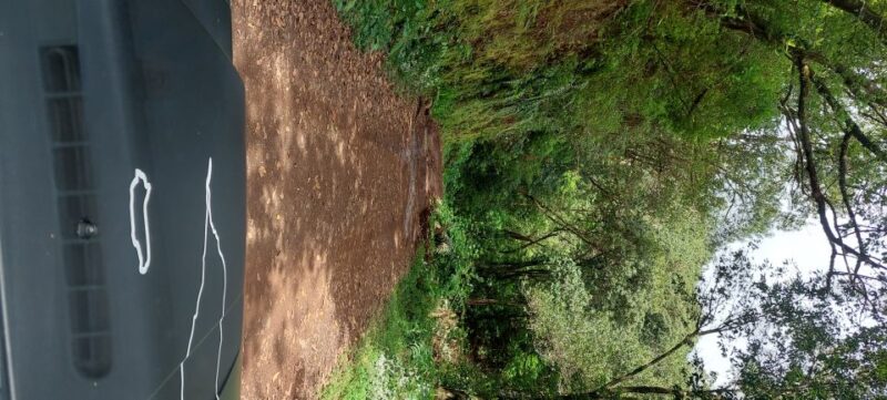 From Funchal: Pico Do Arieiro and Santana Full-Day 4x4 Tour - Driving to Pico Do Arieiro, Madeira’s Third Highest Peak