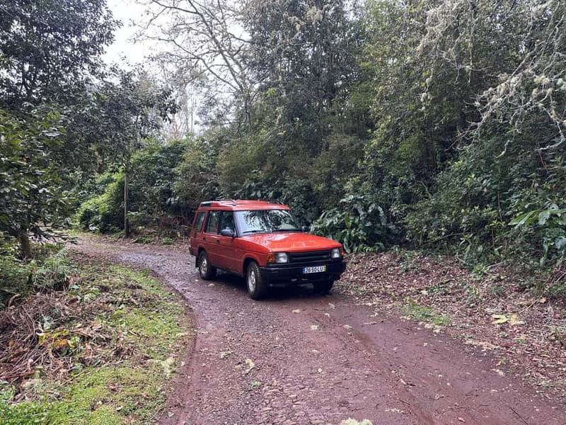 From Funchal: Private Eastern or Western Jeep Tour - Key Points