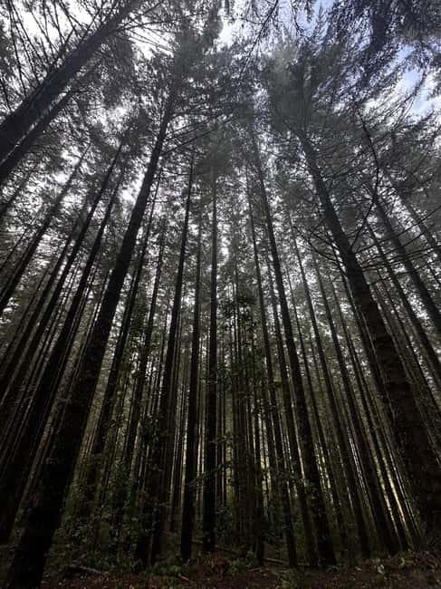 From Funchal: Private Eastern or Western Jeep Tour - Final Thoughts on the Madeira Jeep Tours from Funchal