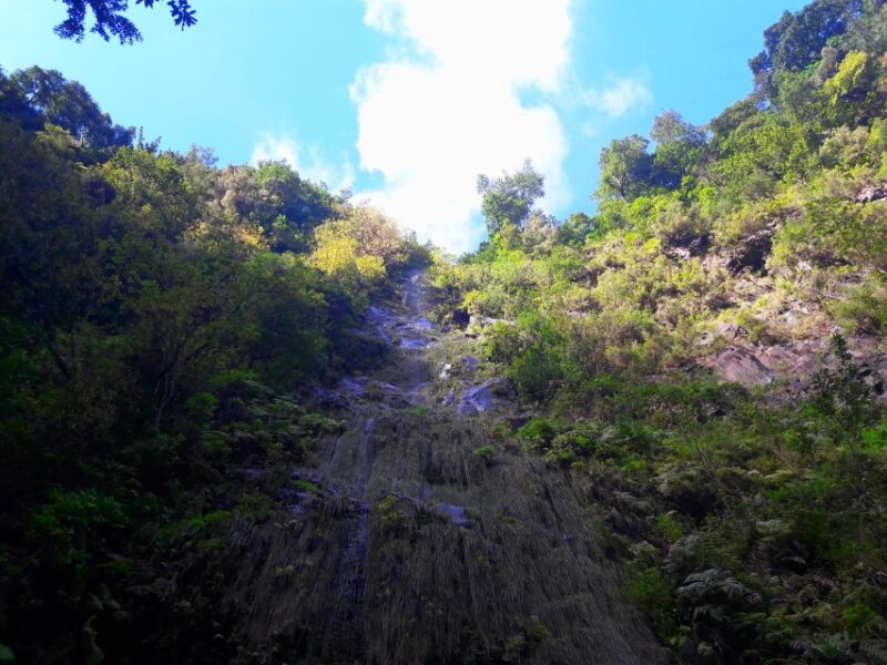From Funchal: São Jorge Valleys Levada Walk - Highlights of Waterfalls and Hidden Corners