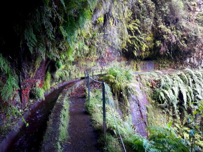 From Funchal: São Jorge Valleys Levada Walk - Frequently Asked Questions