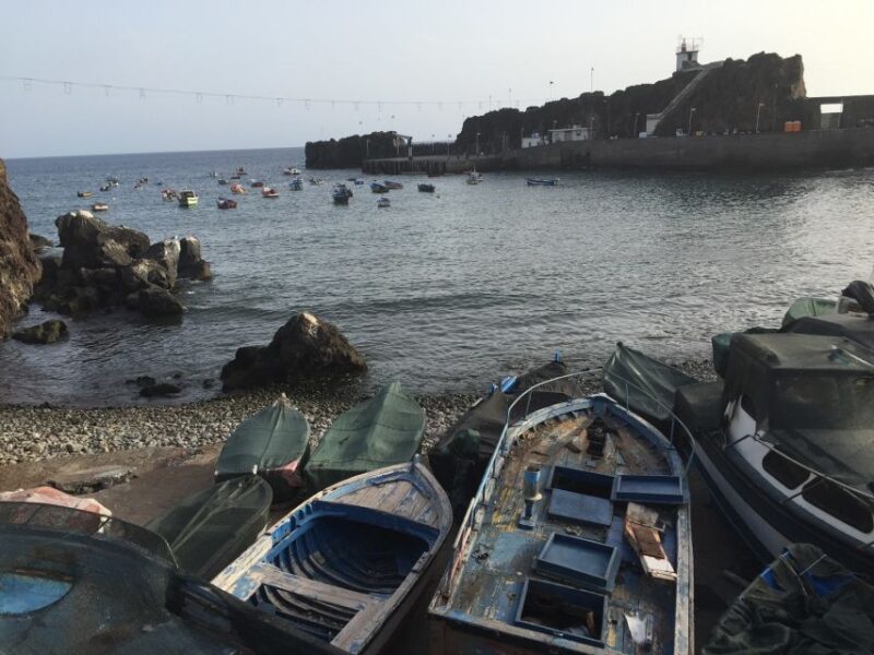 From Funchal: West Madeira and Laurel Forest Day Trip - Porto Moniz’s Natural Volcanic Pools: Swimming and Relaxation