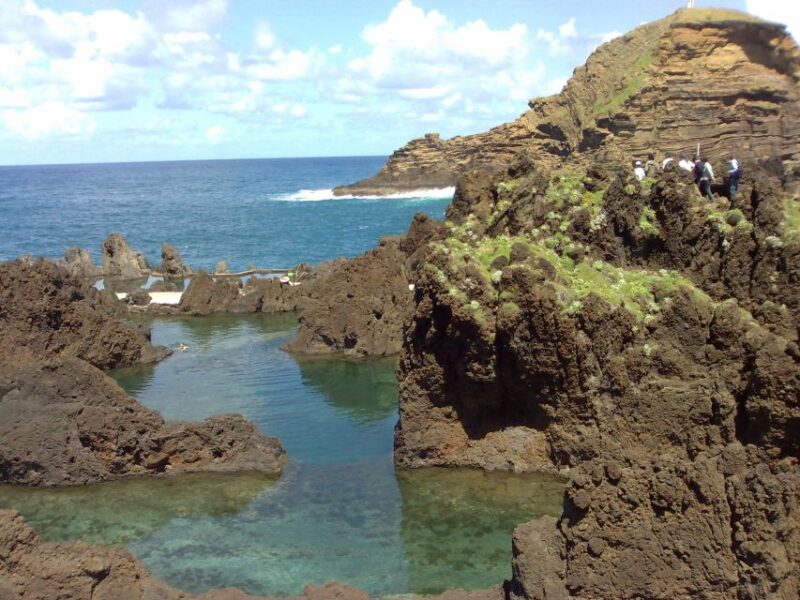 From Funchal: West Madeira Waterfalls and Fanal Forest Tour - Starting the Day with Coastal Charm in Câmara de Lobos