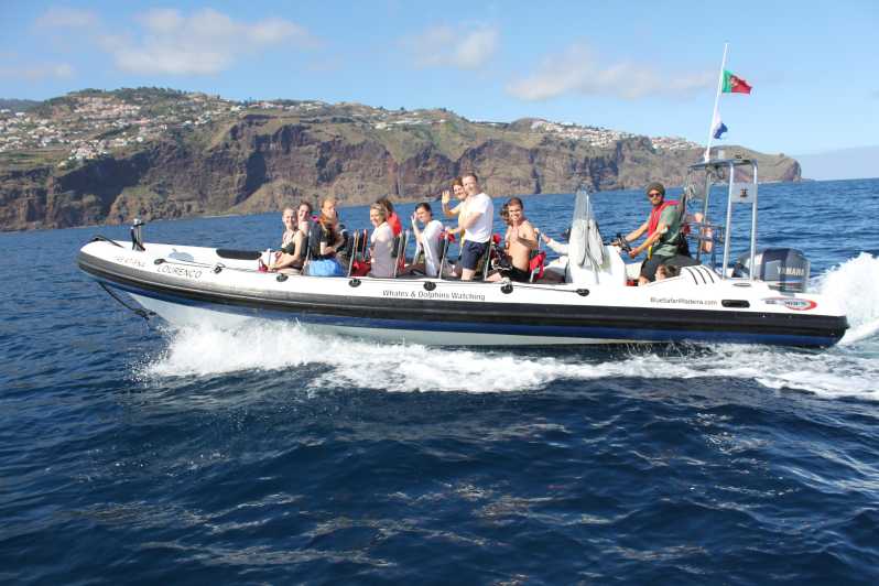 From Funchal: Whales and Dolphin Adventure Tour - Key Points