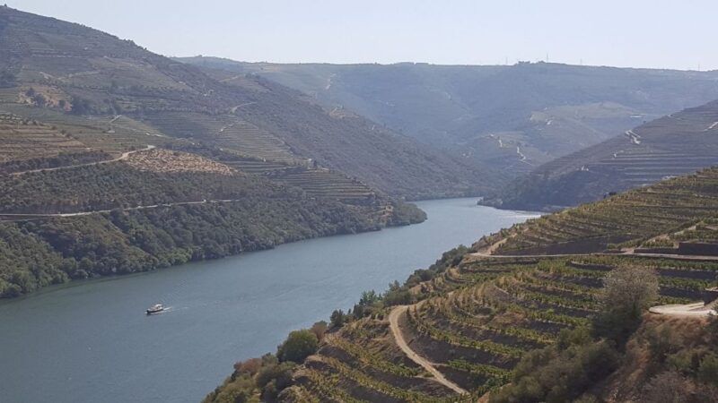 From Gaia Douro Valley Tour Wine Tasting River Cruise Lunch - Wine Tasting in the Douro Region