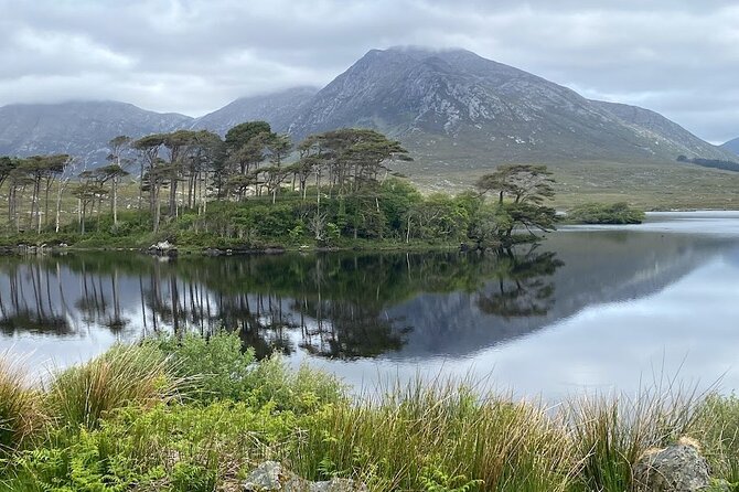 From Galway: Connemara, Kylemore Abbey & Castles 1 Day Tour - The Role of Knowledgeable Guides and Friendly Service