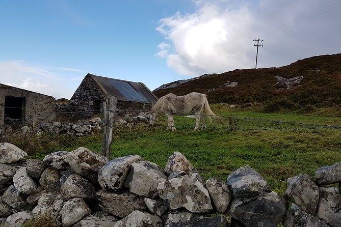 From Galway: Guided tour of Connemara with 3 hour stop in Kylemore Abbey - Inspirational Views at Screeb Lough and Pines Island Viewpoint