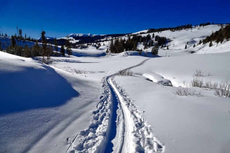 From Gardiner: Guided Yellowstone Cross-Country Skiing Tour - Cross-Country Skiing in Lamar Valley: The Heart of Wildlife Watching