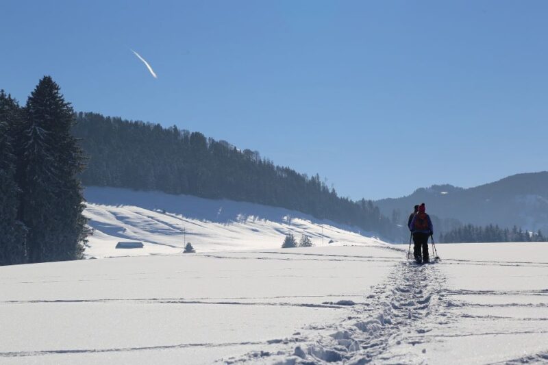 From Gardiner: Yellowstone National Park Snowshoe Tour - Essential Equipment and What to Bring