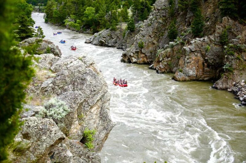 From Gardiner: Yellowstone River Whitewater Rafting & Lunch - Exciting Guided Whitewater Rafting on the Yellowstone River with Lunch