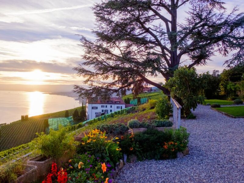 From Geneva: Swiss Riviera Private Tour - Transportation and Guide Experience