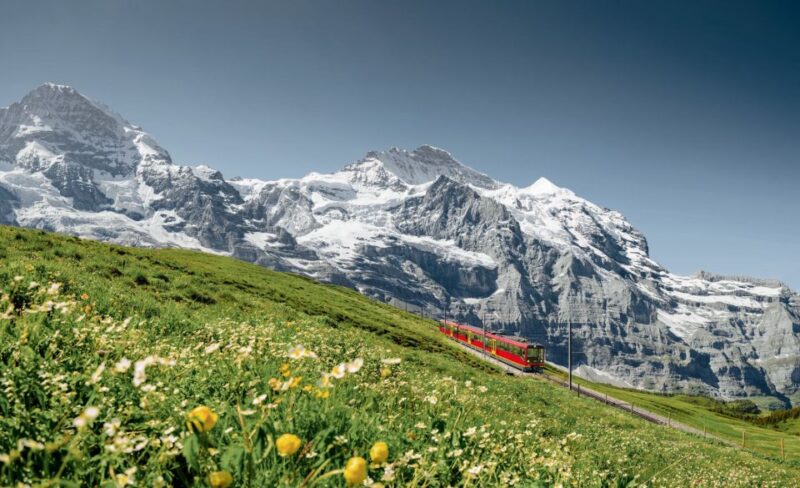 From Geneva to Interlaken - Experience and Guide Quality