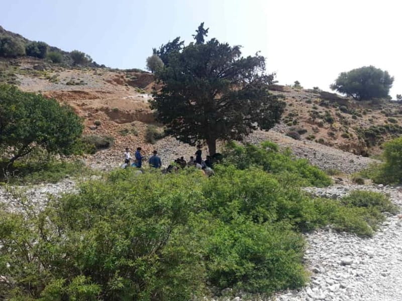 From Georgioupoli: Easy Hiking Day-Trip to Imbros Gorge - Exploring Imbros Gorge: A Two-Hour Scenic Walk