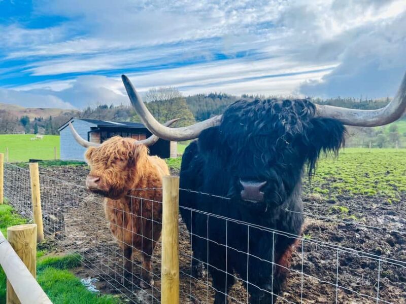 From Glasgow: Loch Ness, Glencoe & The Highlands Day Trip - Scenic Drive Through Loch Lomond & The Trossachs National Park