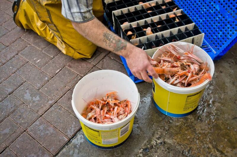 From Glasgow: Lochs, Castles & The West Highlands - Lunch and Free Time in Oban