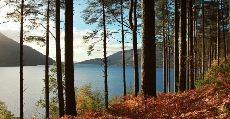 From Glasgow: Stirling Castle & Loch Lomond Tour with Cruise - From Glasgow: Stirling Castle & Loch Lomond Tour with Cruise – A Complete Day of Highland Highlights