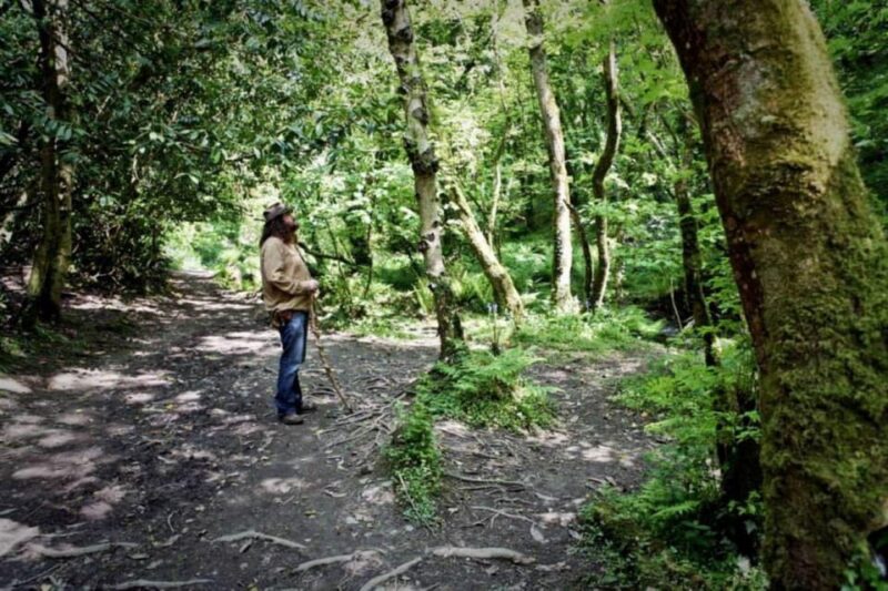 From Glastonbury: 2-Day Tintagel, Boscastle & Dartmoor Tour - Experience the Mystical Lands of Devon in Two Days from Glastonbury