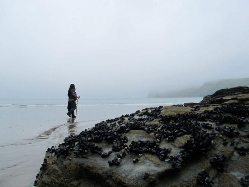 From Glastonbury: 2-Day Tintagel, Boscastle & Dartmoor Tour - The Experience of a Sacred Landscape