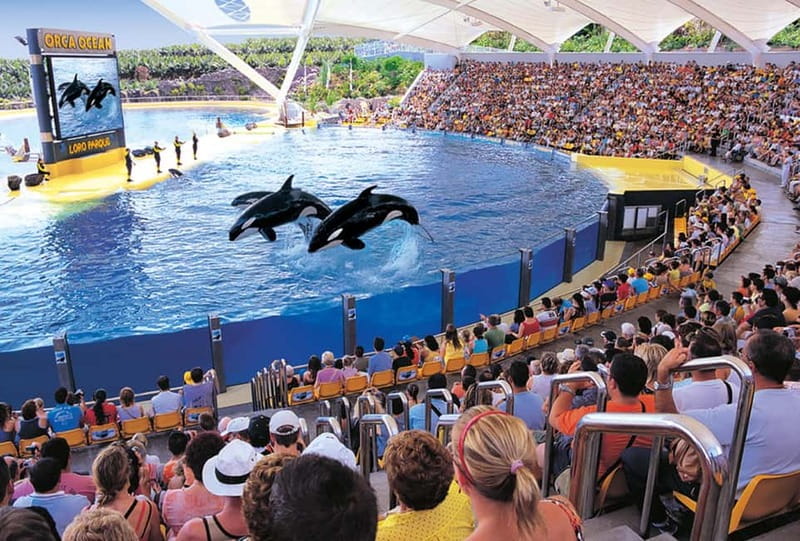 From Gran Canaria: Day Trip to Loro Parque Tenerife - Who Will Appreciate This Tour Most?