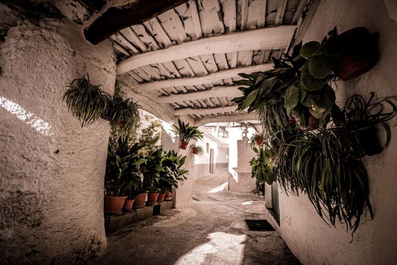 From Granada: Alpujarra Region Full Day Tour - Key Points