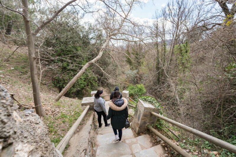 From Granada: Alpujarra Villages Guided Day Tour - The Artistic and Historic Charm of Pampaneira