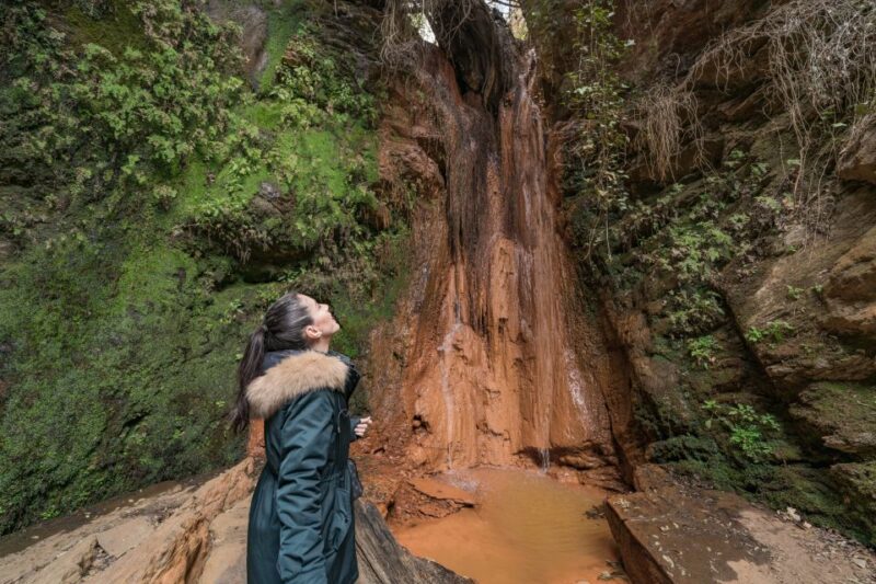 From Granada: Alpujarra Villages Guided Day Tour - Practical Details: Logistics and Group Size