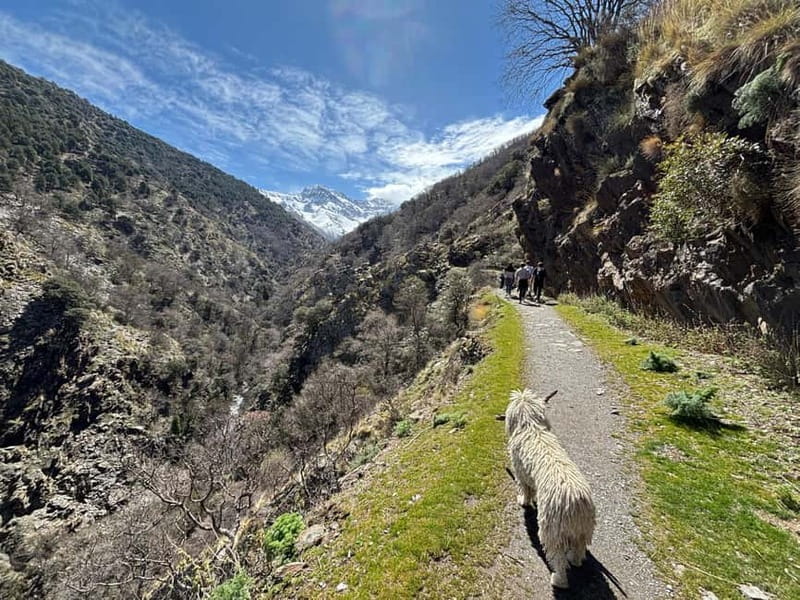 From Granada: High Sierra Nevada hiking experience - Starting from Granada to the Mountain Heights