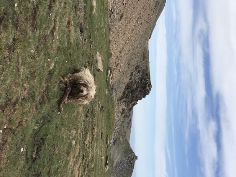 From Granada: High Sierra Nevada hiking experience - Physical Requirements and Precautions