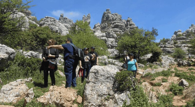 From Granada: Lobo Parque and Torcal de Antequera, Adventure Excursion - Authentic Andalusian Lunch in Antequera