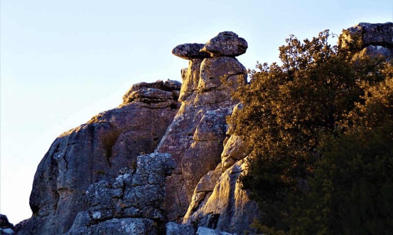 From Granada: Lobo Parque and Torcal de Antequera, Adventure Excursion - Who Will Enjoy This Tour Most