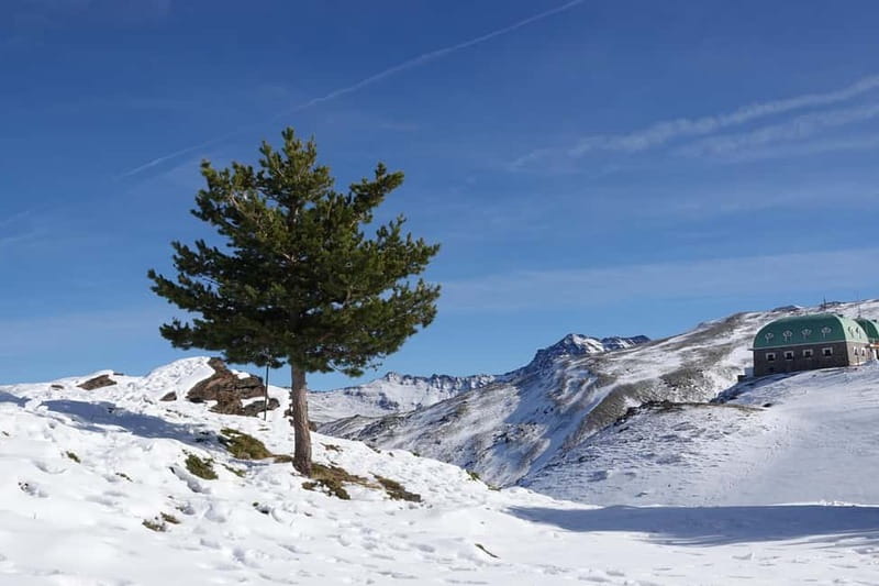 From Granada: Sierra Nevada Safari up to 2500 meters high - Wildlife Encounters in the Sierra Nevada